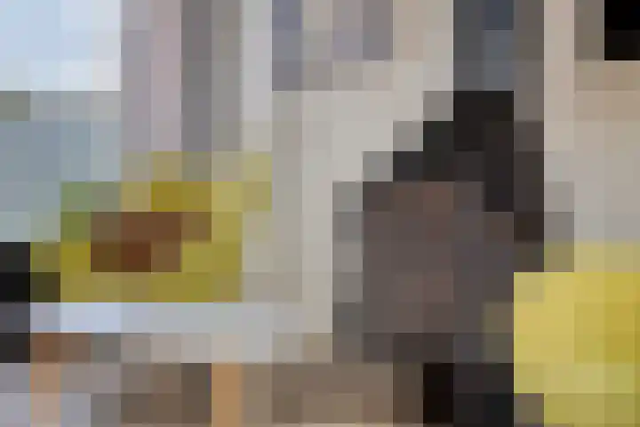 Duinschooten 12 152 Noordwijkerhout thumbnail 12