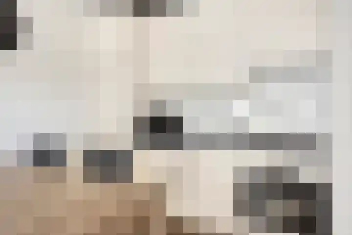Duinschooten 12 152 Noordwijkerhout thumbnail 15