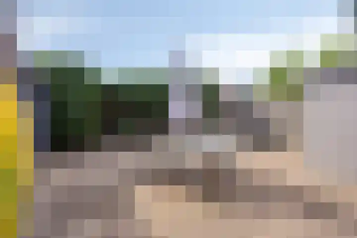 Duinschooten 12 152 Noordwijkerhout thumbnail 22
