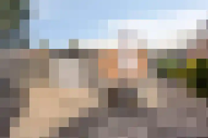 Duinschooten 12 152 Noordwijkerhout thumbnail 23