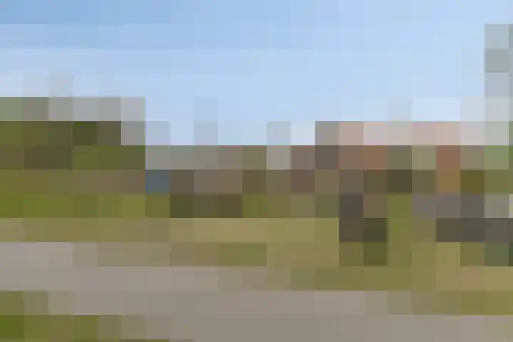 Duinschooten 12 152 Noordwijkerhout thumbnail 26