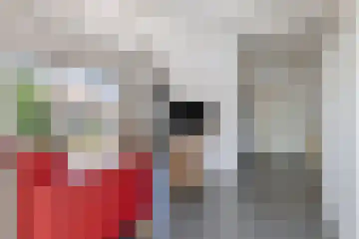 Duinschooten 12 155 Noordwijkerhout thumbnail 10