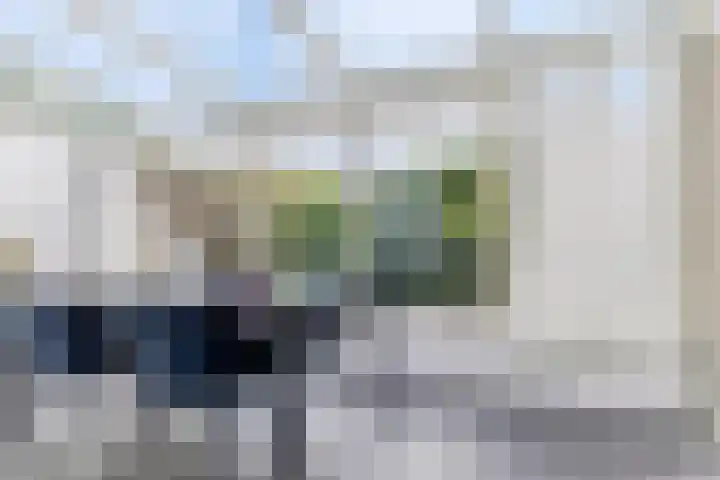 Duinschooten 12 155 Noordwijkerhout thumbnail 11