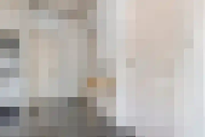 Duinschooten 12 155 Noordwijkerhout thumbnail 16