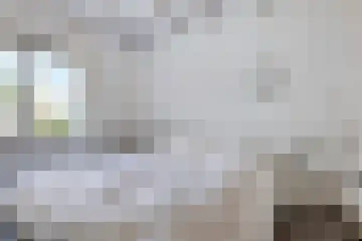 Duinschooten 12 155 Noordwijkerhout thumbnail 17