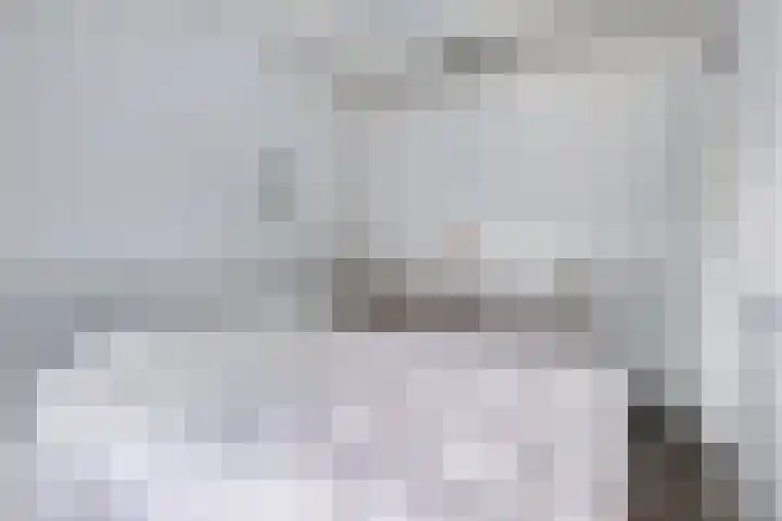 Duinschooten 12 155 Noordwijkerhout thumbnail 19