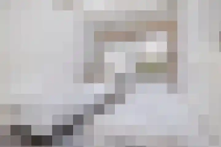 Duinschooten 12 155 Noordwijkerhout thumbnail 20