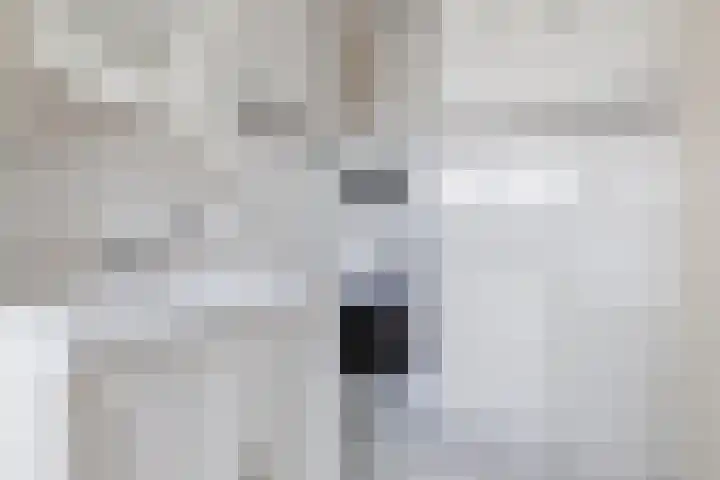 Duinschooten 12 155 Noordwijkerhout thumbnail 24