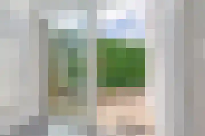 Duinschooten 12 155 Noordwijkerhout thumbnail 25