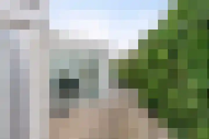 Duinschooten 12 155 Noordwijkerhout thumbnail 27