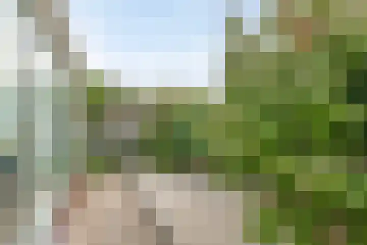 Duinschooten 12 155 Noordwijkerhout thumbnail 28