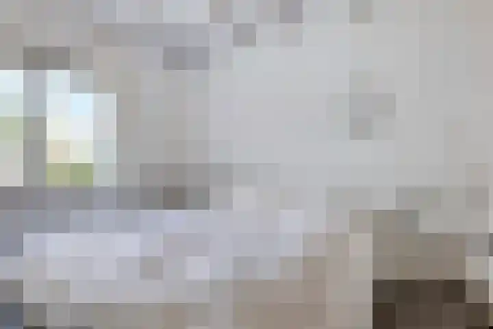 Duinschooten 12 155 Noordwijkerhout thumbnail 4