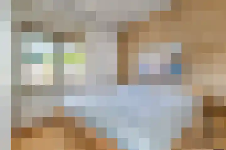 Duinschooten 12 170 Noordwijkerhout thumbnail 12