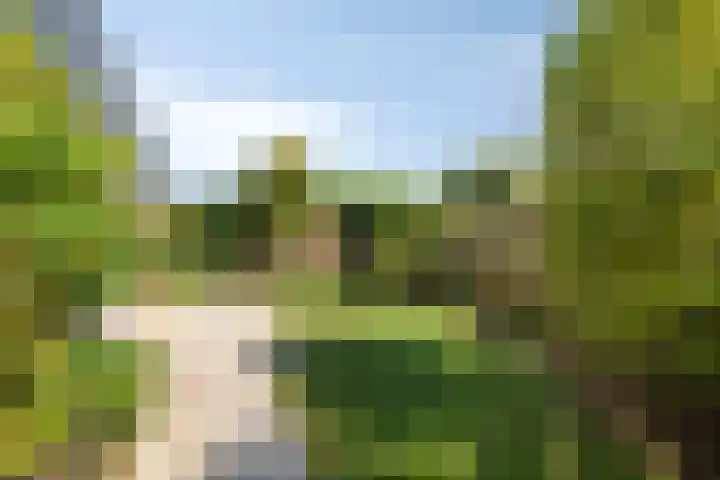 Duinschooten 12 170 Noordwijkerhout thumbnail 18