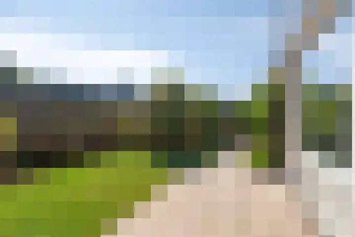 Duinschooten 12 170 Noordwijkerhout thumbnail 19