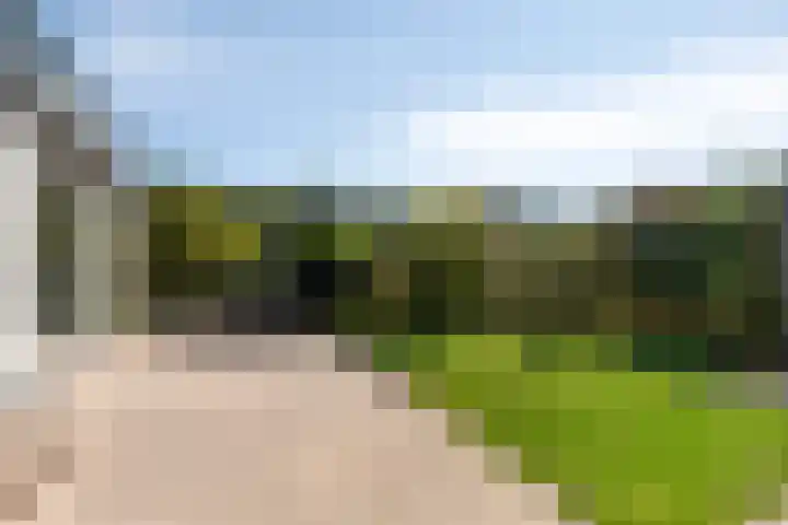 Duinschooten 12 170 Noordwijkerhout thumbnail 20