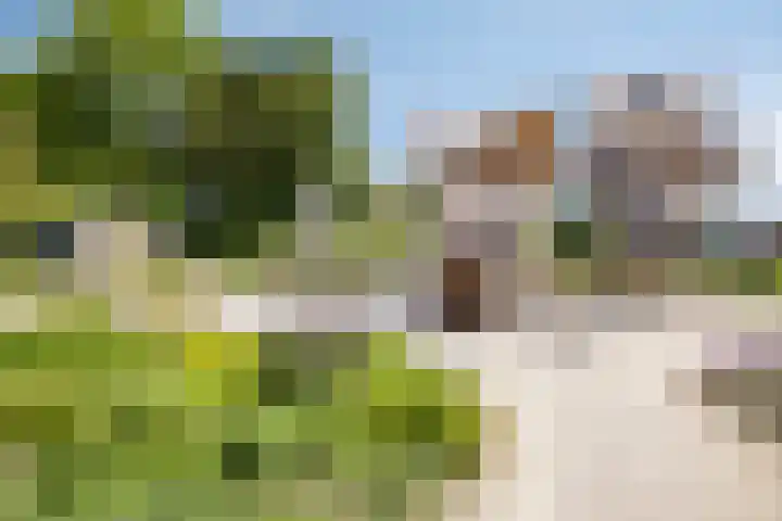 Duinschooten 12 170 Noordwijkerhout thumbnail 22