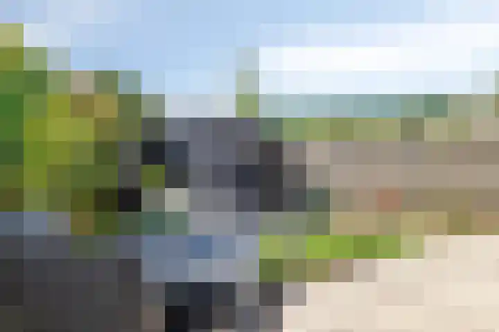 Duinschooten 12 170 Noordwijkerhout thumbnail 4