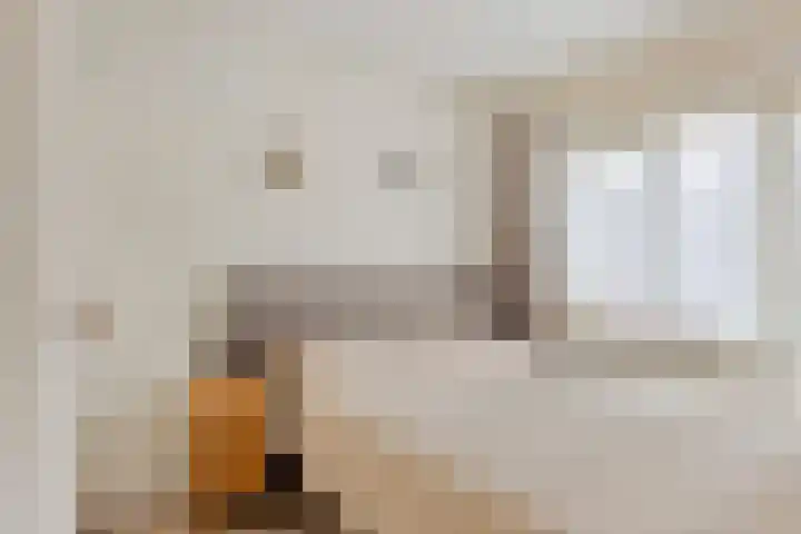 Duinschooten 12 190 Noordwijkerhout thumbnail 19