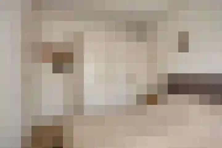 Duinschooten 12 190 Noordwijkerhout thumbnail 20