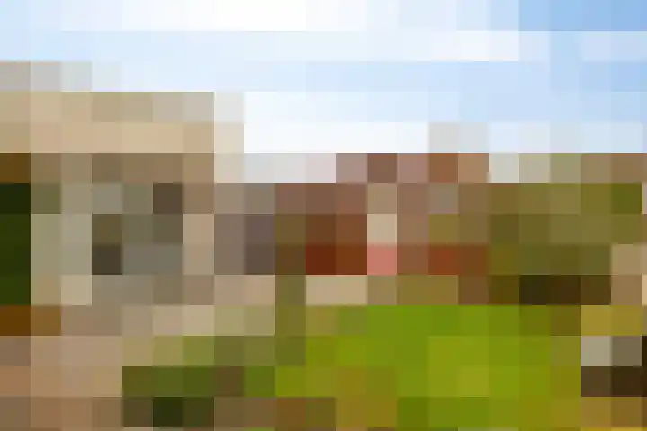 Duinschooten 12 190 Noordwijkerhout thumbnail 24