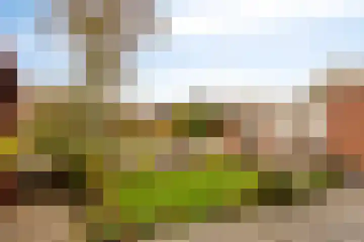 Duinschooten 12 190 Noordwijkerhout thumbnail 25