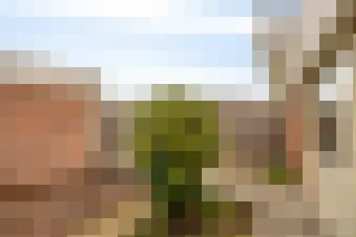 Duinschooten 12 190 Noordwijkerhout thumbnail 29