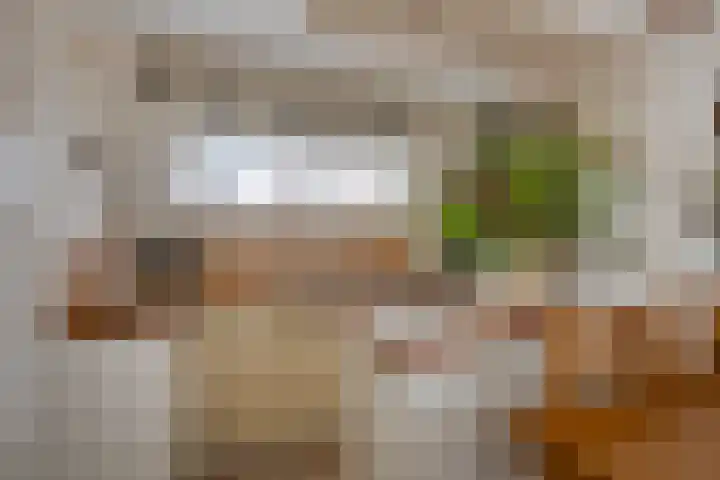Duinschooten 12 190 Noordwijkerhout foto 3