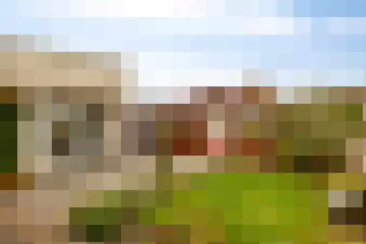 Duinschooten 12 190 Noordwijkerhout thumbnail 4