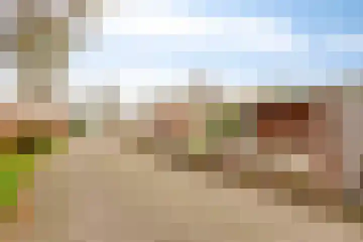 Duinschooten 12 190 Noordwijkerhout thumbnail 5