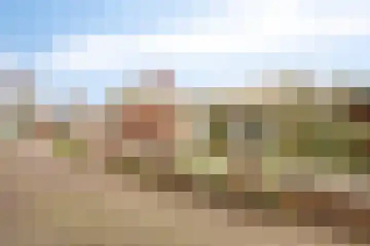 Duinschooten 12 190 Noordwijkerhout thumbnail 6