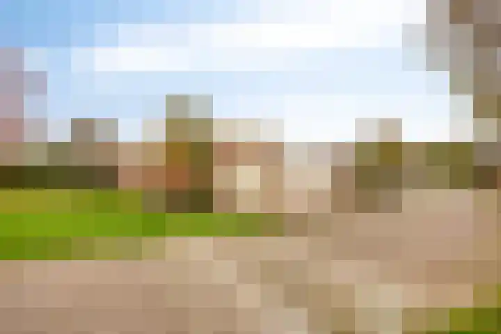 Duinschooten 12 190 Noordwijkerhout thumbnail 7