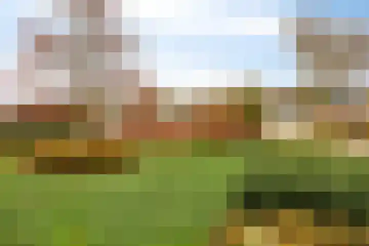 Duinschooten 12 190 Noordwijkerhout thumbnail 8