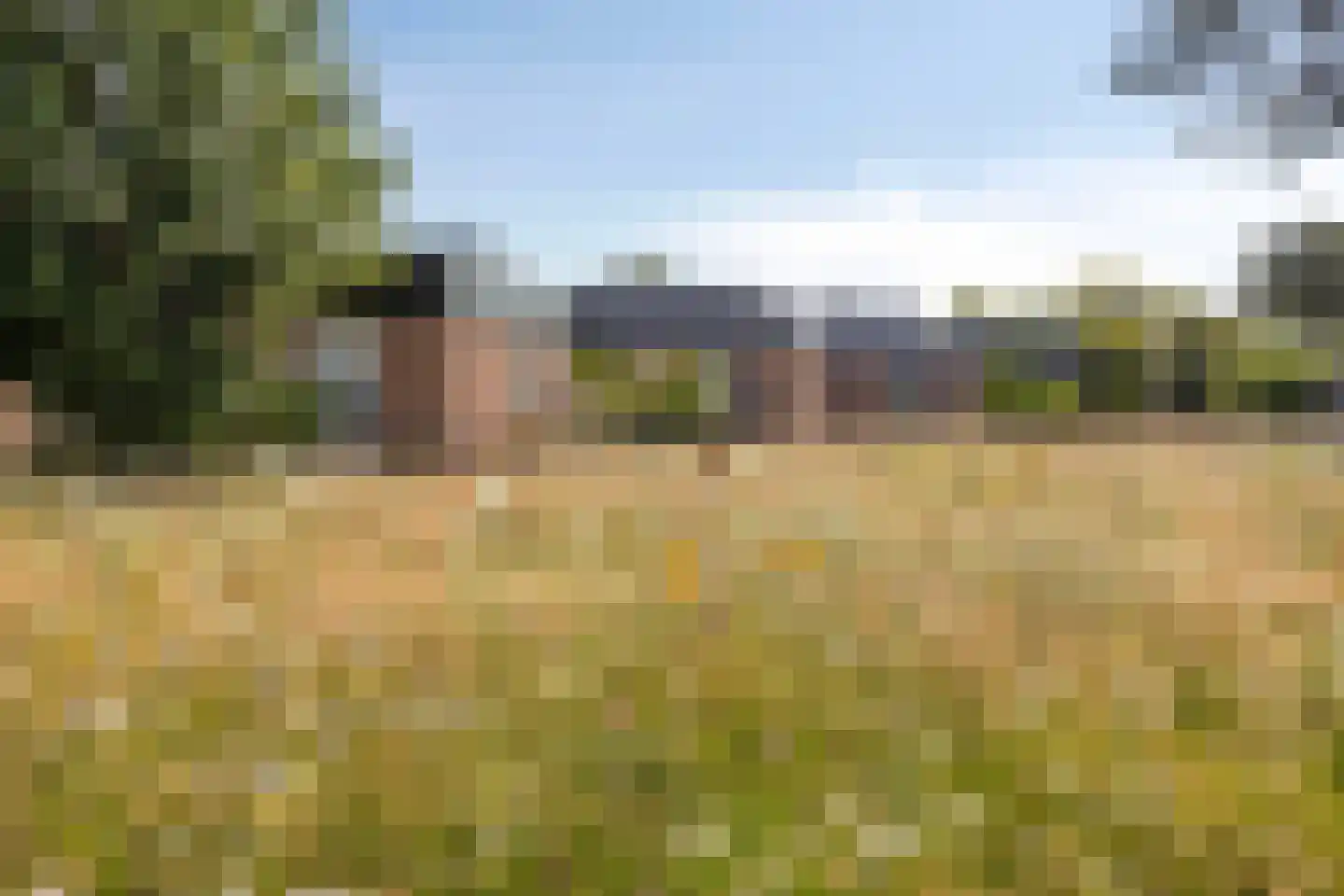 Duinschooten 12 199 Noordwijkerhout thumbnail 32
