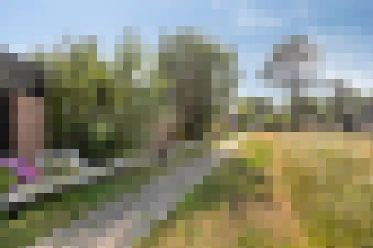 Duinschooten 12 199 Noordwijkerhout thumbnail 5