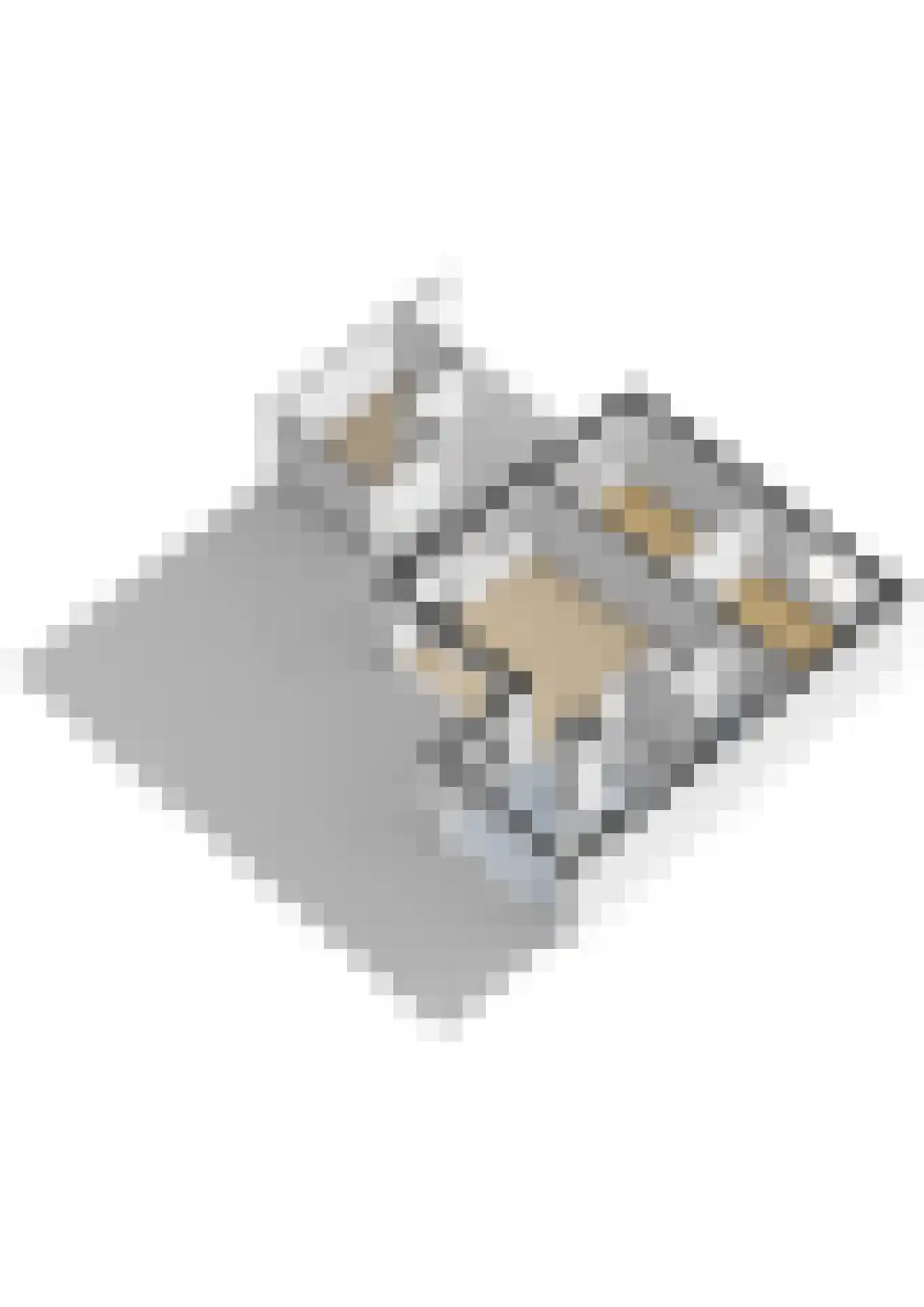 Duinschooten 12 207 Noordwijkerhout thumbnail 41