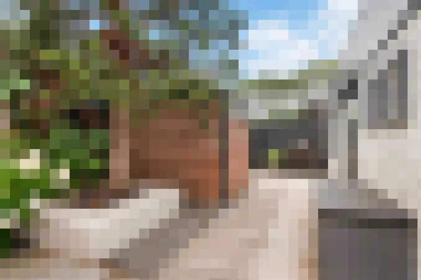 Duinschooten 12 207 Noordwijkerhout thumbnail 6