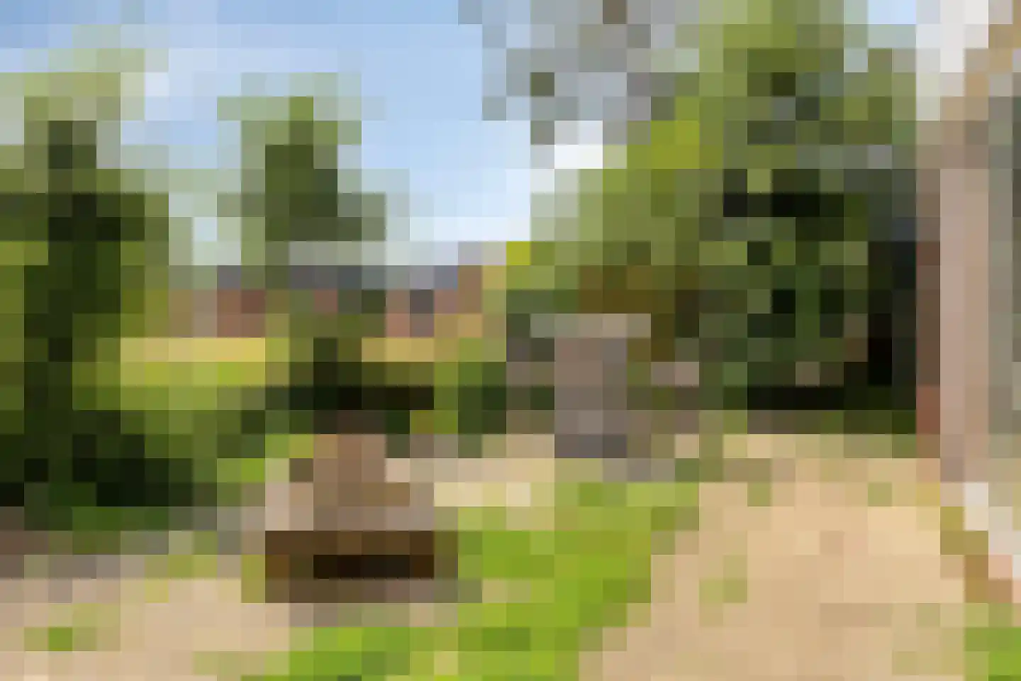 Duinschooten 12 208 Noordwijkerhout thumbnail 19