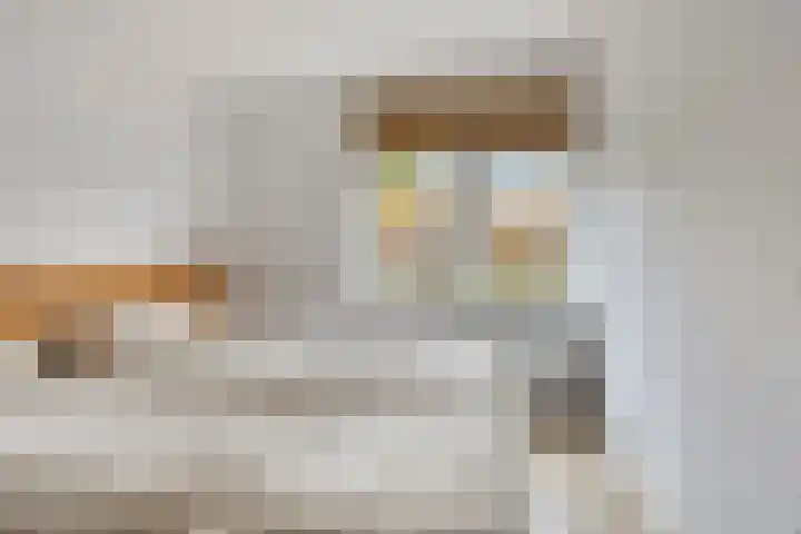 Duinschooten 12 209 Noordwijkerhout thumbnail 17
