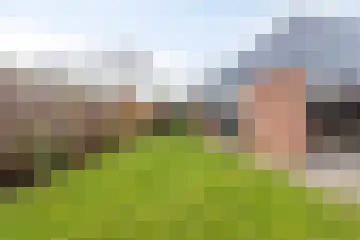 Duinschooten 12 209 Noordwijkerhout thumbnail 22