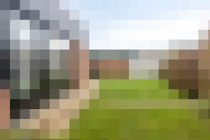 Duinschooten 12 209 Noordwijkerhout thumbnail 23
