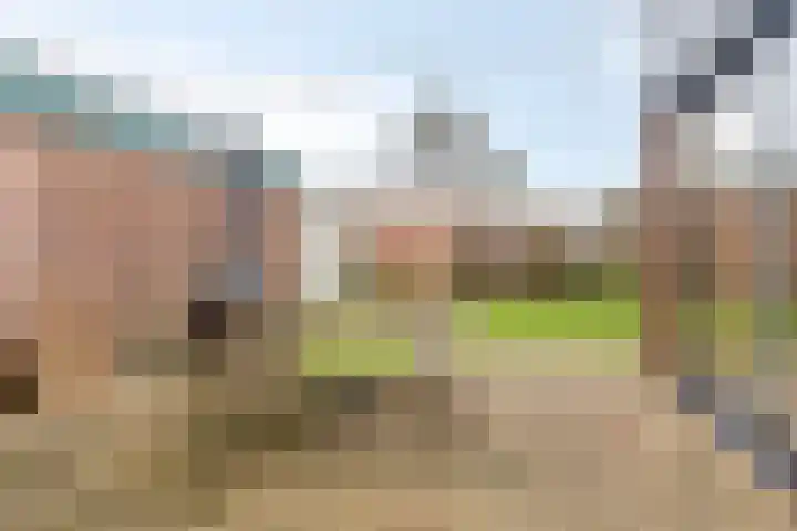 Duinschooten 12 209 Noordwijkerhout thumbnail 24