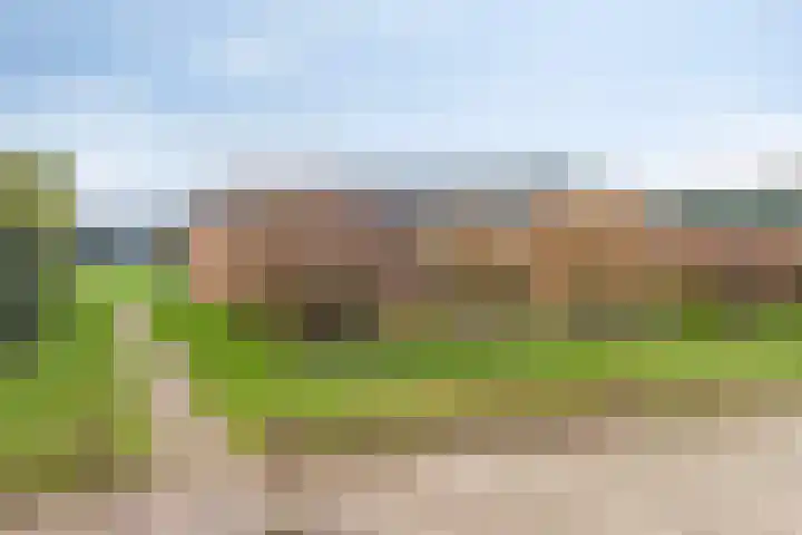 Duinschooten 12 209 Noordwijkerhout thumbnail 5