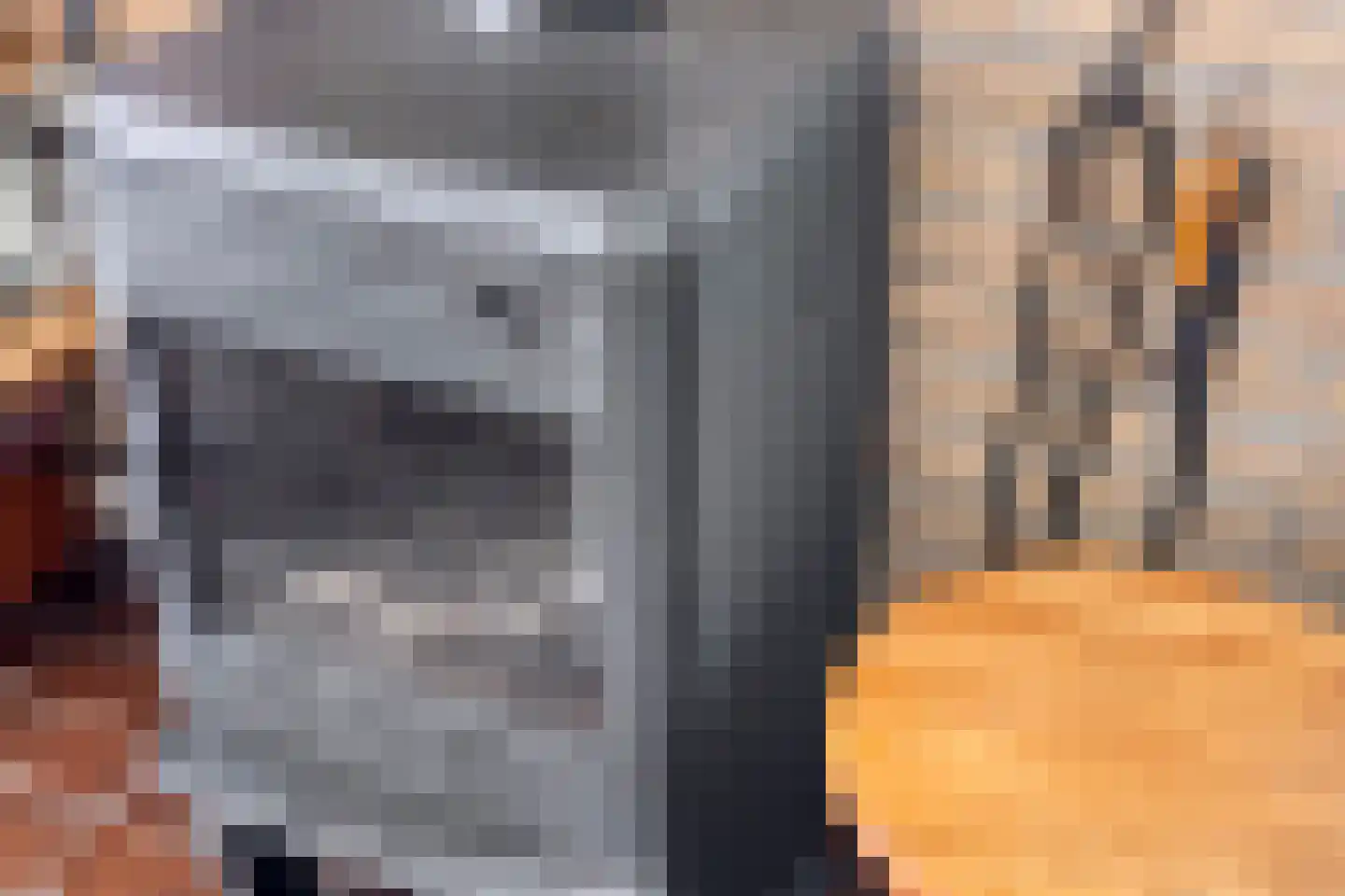 Duinschooten 12 221 Noordwijkerhout thumbnail 16