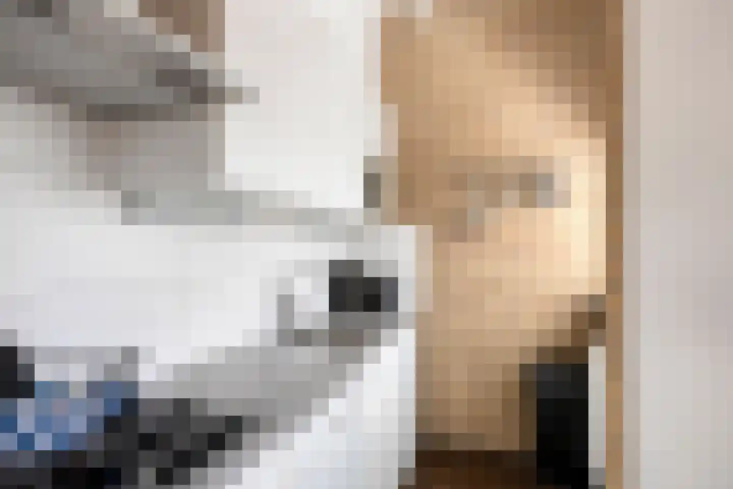 Duinschooten 12 221 Noordwijkerhout thumbnail 17