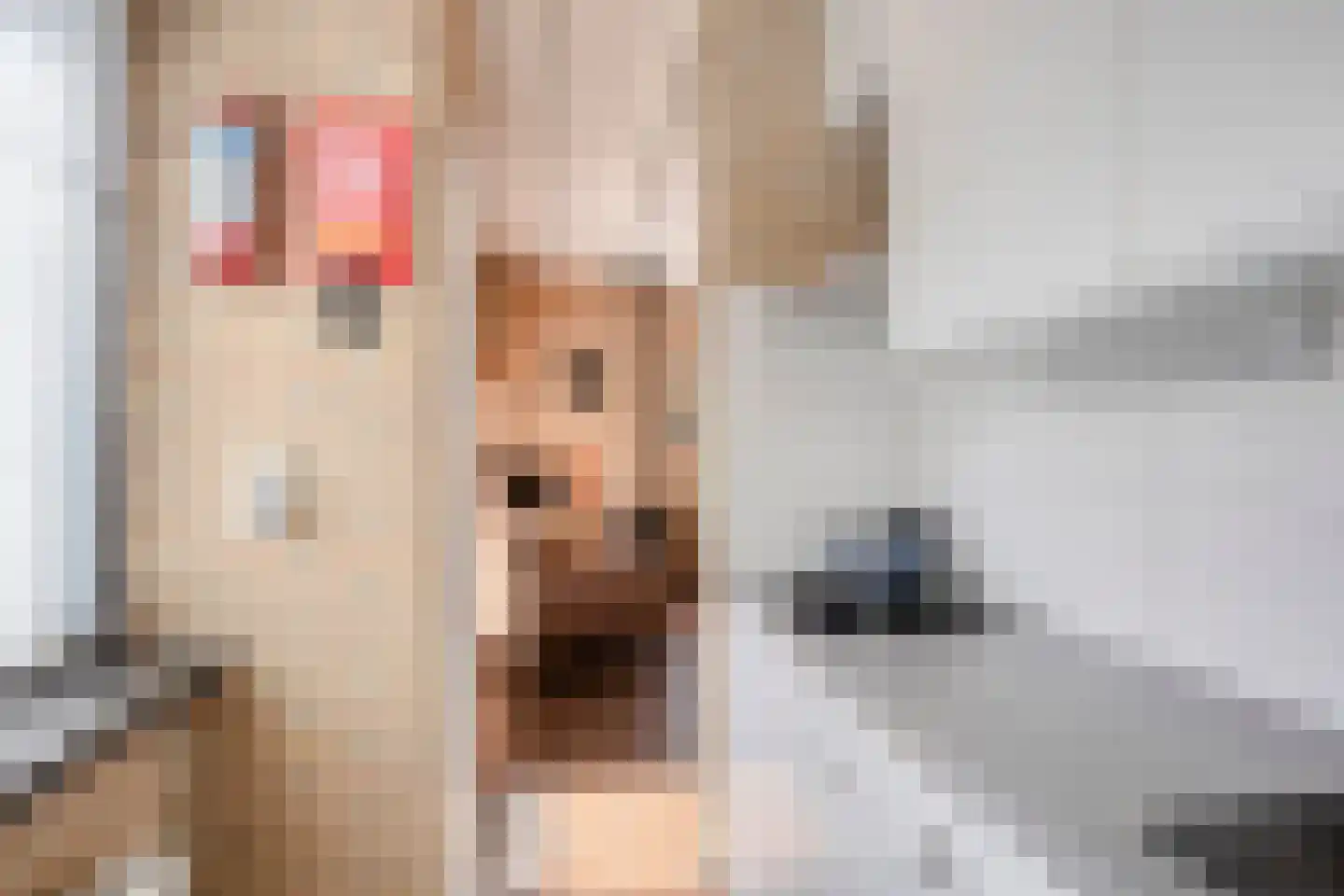 Duinschooten 12 221 Noordwijkerhout thumbnail 18