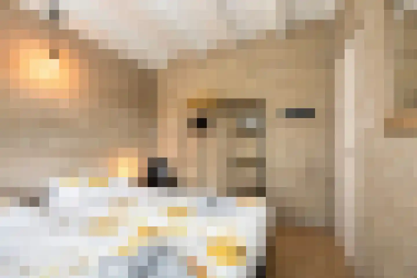 Duinschooten 12 221 Noordwijkerhout thumbnail 28