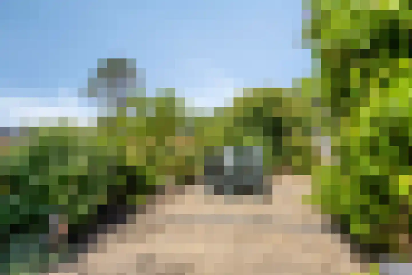 Duinschooten 12 221 Noordwijkerhout thumbnail 32