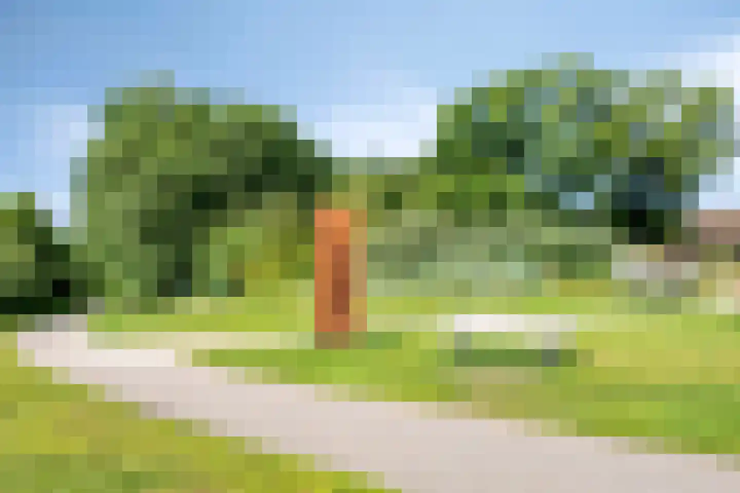 Duinschooten 12 221 Noordwijkerhout thumbnail 36