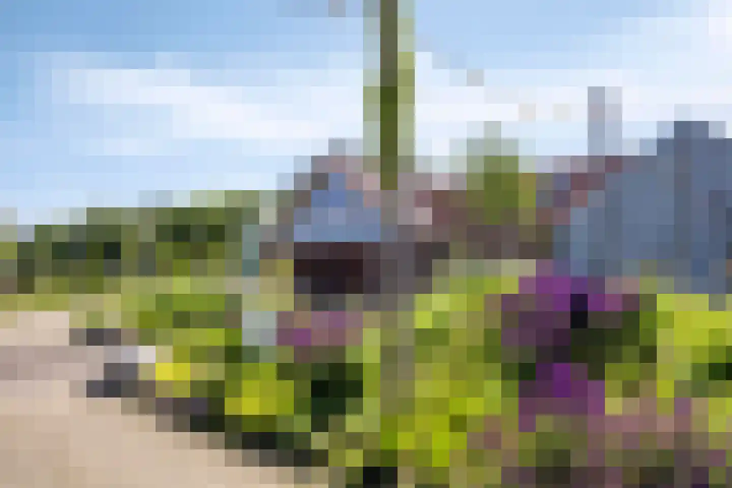 Duinschooten 12 221 Noordwijkerhout thumbnail 37